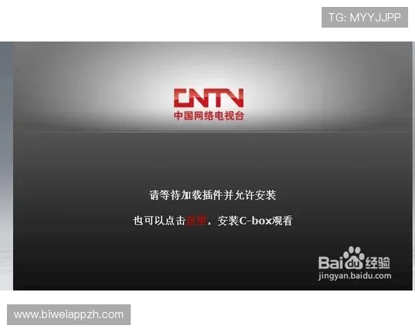 333体育国际全面解析：全球体育赛事直播与高清回放的最佳平台选择指南