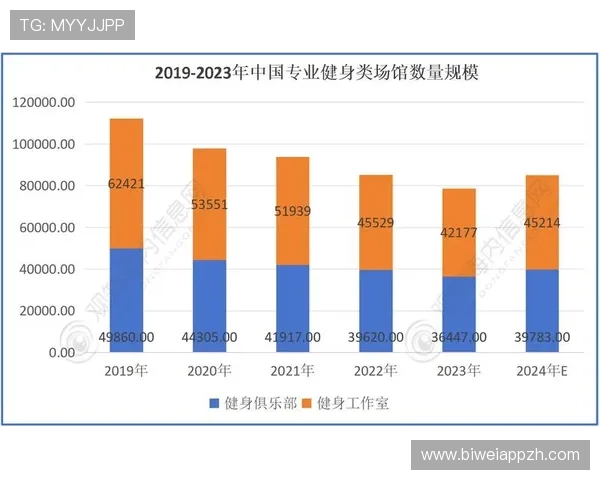 B体育游戏的市场分析与用户需求变化趋势全面解读